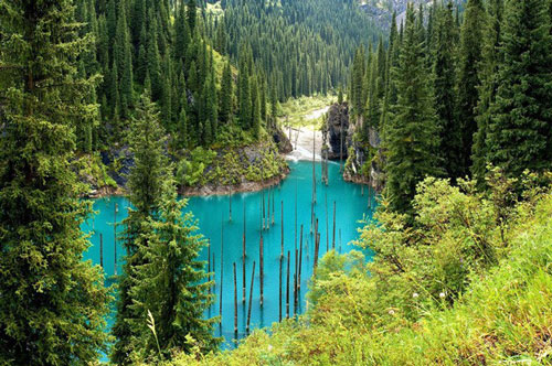 CLIP: Ghé thăm hồ Kaindy - Nơi những loài cây mọc ngược siêu độc đáo