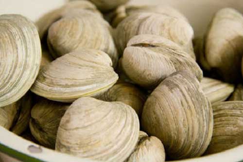 Ngoài muối hãy thêm vài giọt nguyên liệu này để làm sạch ngao