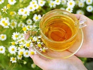 Bí quyết dưỡng da với trà hoa cúc