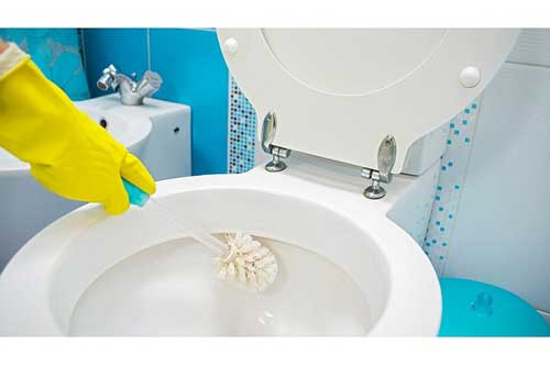 Mẹo tẩy trắng bồn cầu bị ố vàng hiệu quả và nhanh chóng