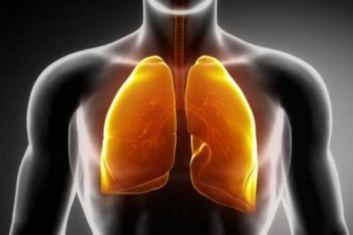 Những thực phẩm giúp thanh lọc phổi