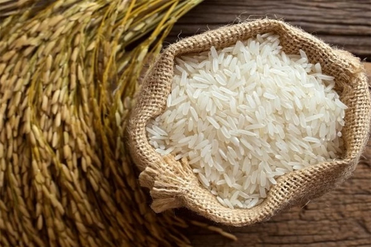 Chọn gạo ngon khi muốn cơm ngon, thơm (Ảnh minh họa internet)