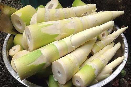 Mẹo bảo quan măng tươi được lâu mà không bị khô cứng