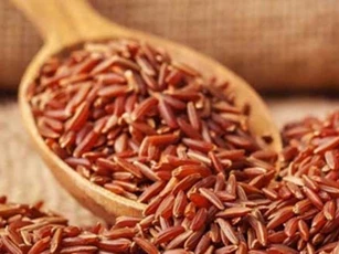 5 nhóm người không nên ăn gạo lứt