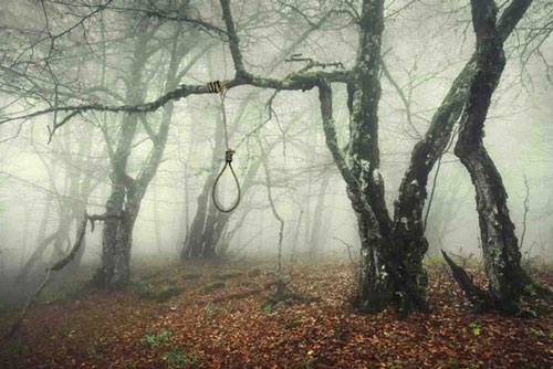 Khu rừng tự sát Aokigahara: Nơi tăm tối và im lặng tuyệt đối với những câu chuyện rùng rợn đầy ám ảnh