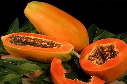 12 lợi ích của đu đủ đối với sức khỏe