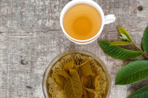 Không chỉ ngừa tiểu đường, nước lá ổi còn gây bất ngờ với tác dụng điều trị ung thư