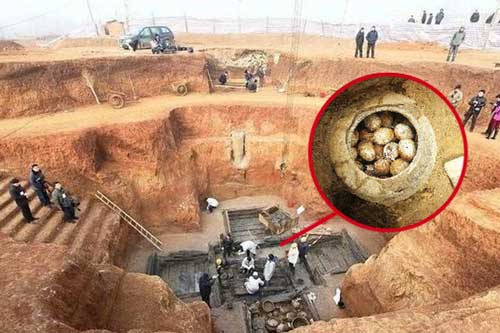 Chuyên gia khảo cổ 'tim đập chân run' mỗi khi tìm thấy trứng trong lăng mộ - Lý do vì đâu?
