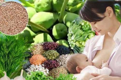 6 thực phẩm giúp lợi sữa, món thứ 3 ai sinh con rồi cũng từng ăn
