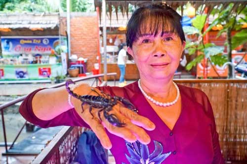 Tiền Giang: Người phụ nữ 5x làm giàu nhờ nuôi bọ cạp