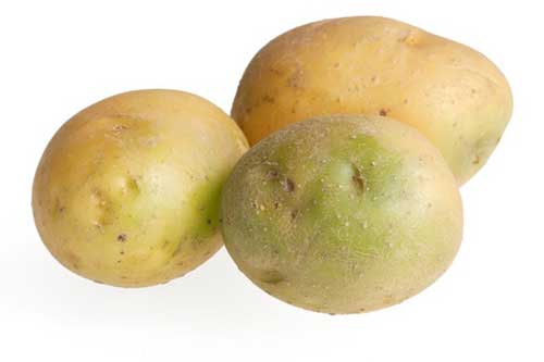 Khoai tây cực kỳ bổ dưỡng, nhưng ăn kiểu này dễ rước độc tố vào người