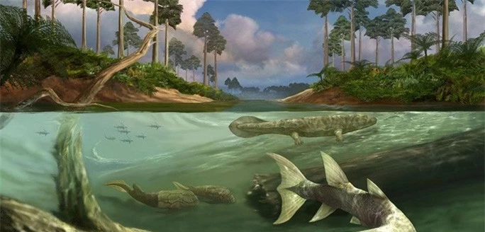 Tác động ngoài hành tinh từng khiến loài cá Trái Đất mọc chân, biến hình - Ảnh 1.
