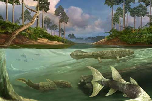 Tác động ngoài hành tinh từng khiến loài cá Trái Đất mọc chân, biến hình