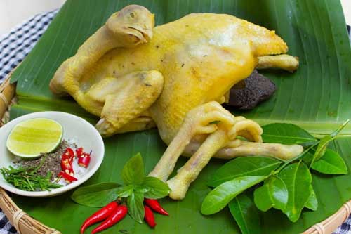 Luộc gà làm theo cách này tự lọc bỏ độc tố, chất tăng trọng, món gà vàng ươm thơm ngon hấp dẫn