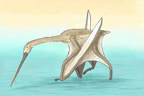 'Quái thú' đầu cò, mình khủng long, cánh dơi xuất hiện ở Thổ Nhĩ Kỳ