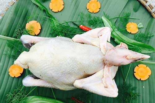 Bí quyết làm sạch lông gà và khử mùi tanh cực nhanh