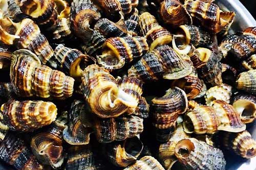 Muốn ốc nhả sạch bùn đất và nhớt trước khi chế biến, dùng mẹo này