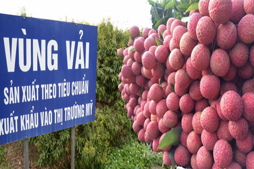 Nắm bắt cơ hội xuất khẩu vào thị trường Mỹ hậu Covid-19