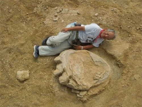 Phát hiện dấu chân khủng long khổng lồ tại Mông Cổ - 1