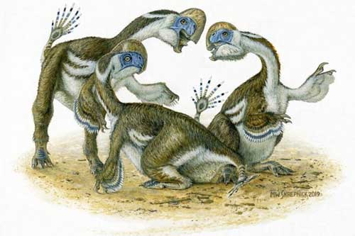 Xuất hiện 4 "quái thú sa mạc" nửa khủng long, nửa chim, cánh mọc 2 ngón