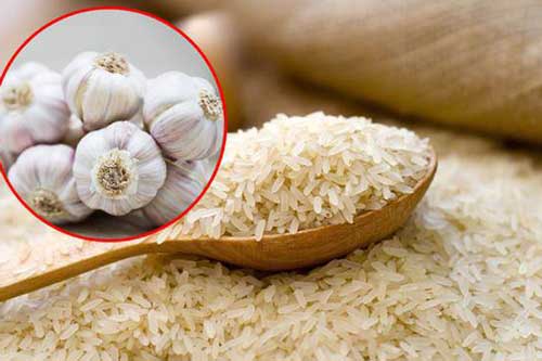 Mẹo bảo quản gạo không bị mối mọt, ẩm mốc từ nguyên liệu tự nhiên