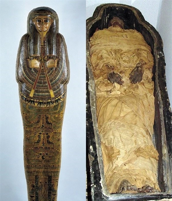 khám phá cách ướp xác bằng nhựa thông của người Ai Cập