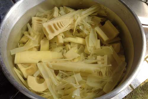 4 loại rau cực bổ dưỡng, nhưng trước khi nấu bạn nên chần qua để loại bỏ độc tố