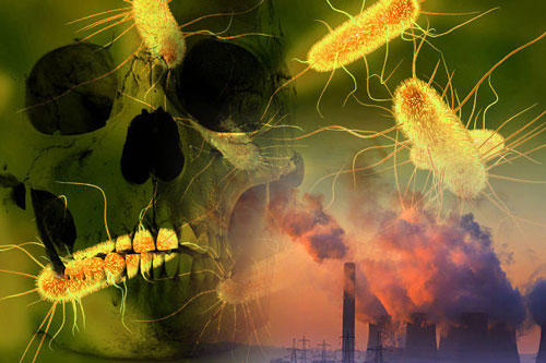 CLIP: Trước khi chết, vi khuẩn làm gì để cứu đồng loại khỏi nguy hiểm?