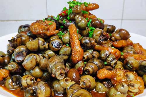 Bà bầu ăn ốc có tốt không?