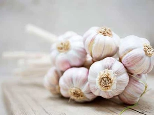 Những điều cấm kỵ tuyệt đối không được mắc phải khi ăn tỏi