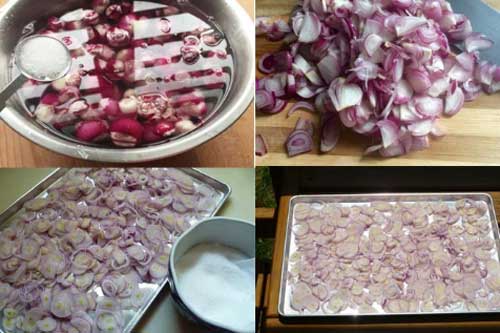 Phi hành theo cách này, đảm bảo hành vàng ươm, thơm ngon đúng chuẩn