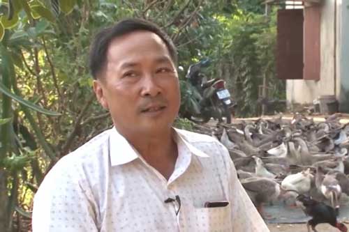 Bắc Giang: Nuôi ngỗng sư tử nặng tới 10kg, ông nông dân thu về hơn nửa tỉ đồng mỗi năm