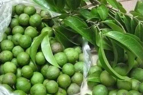 Mẹo bảo quản sấu tươi dùng lâu quanh năm