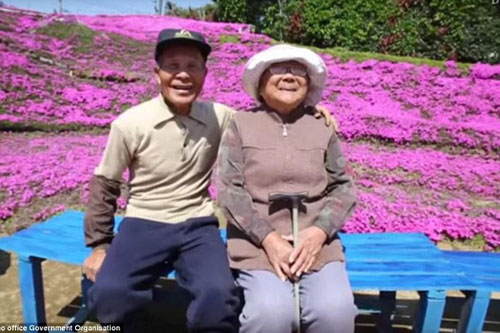 Vườn hoa đẹp như cổ tích của người đàn ông dành 10 năm trồng tặng vợ