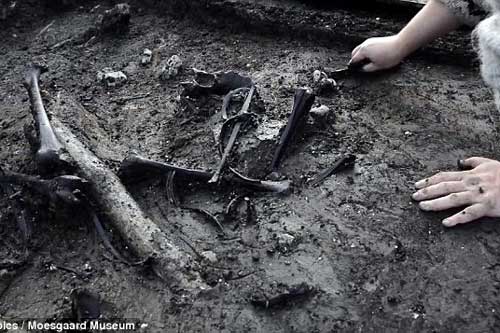 Bí mật kinh hoàng về bộ xương cổ chôn vùi ở đầm lầy Đan Mạch
