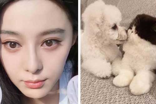 Phạm Băng Băng tậu thú cưng, chơi đồ hiệu hàng tỷ đồng dù bị đồn đang ở sườn dốc sự nghiệp