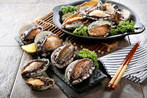 7 công dụng tuyệt vời của bào ngư đối với sức khỏe