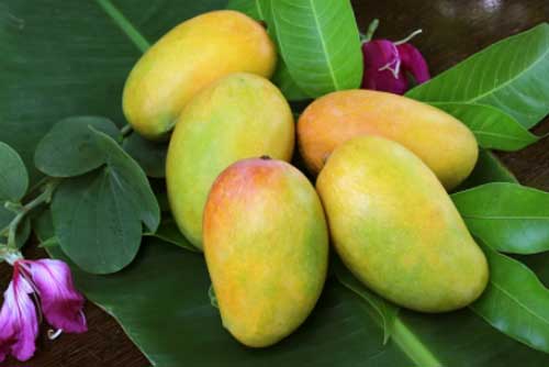 Xoài sẽ thành món "cực độc" nếu ăn theo cách này