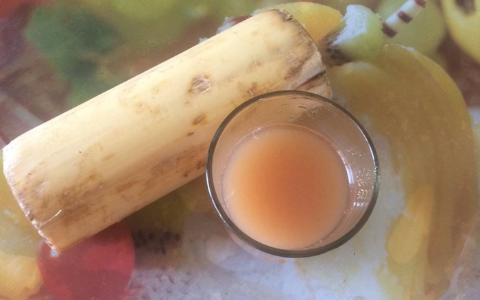 Bộ phận của cây chuối là 'thần dược' cho người tăng huyết áp, viêm loét dạ dày