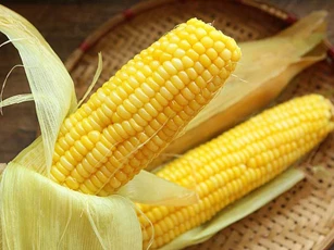 Kiên trì ăn bắp luộc 1 tuần vào mỗi sáng, bạn sẽ bất ngờ với kết quả thu được