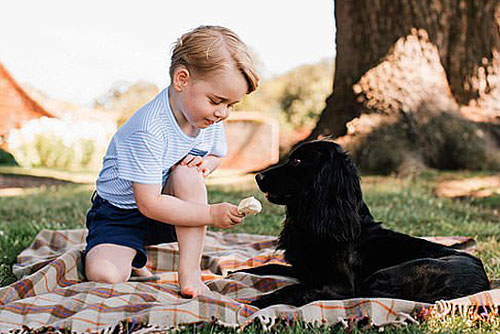 Chó cưng nhà William - Kate qua đời