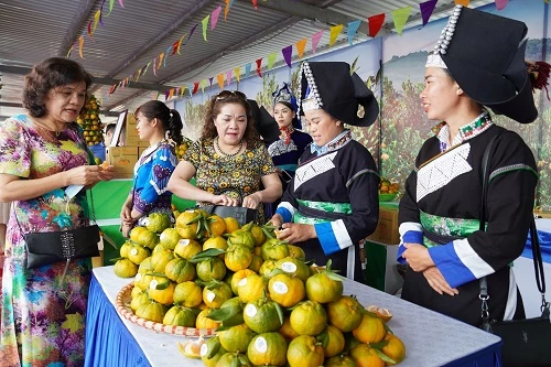  Người tiêu dùng Thủ đô Hà Nội hào hứng mua sắm đặc sản Quýt Mường Khương của tỉnh Lào Cai