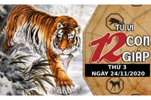 Tử vi ngày 24/11/2020 của 12 con giáp: Thân không nên nóng vội, Hợi "nằm duỗi mà ăn"
