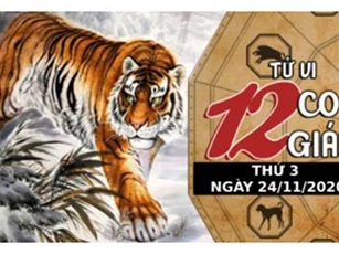 Tử vi ngày 24/11/2020 của 12 con giáp: Thân không nên nóng vội, Hợi "nằm duỗi mà ăn"