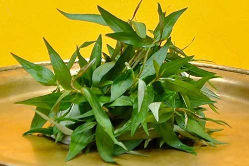 Những đại kỵ khi ăn rau răm, rất ít người biết