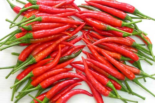 5 lợi ích tuyệt vời khi ăn ớt, nhất là điều thứ 4 cực tốt khi mùa đông đến