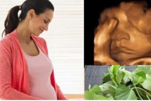 5 loại thực phẩm giúp mẹ bầu ít tốn sức khi sinh nở