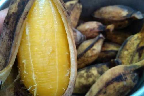 Làm thêm một bước trước khi ăn chuối, mỡ thừa sẽ tiêu biến lại trị hàng loạt bệnh