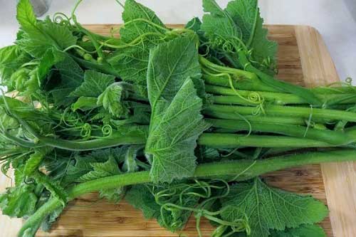 Món rau bí dân giã có đến 6 lợi ích tuyệt vời, rất nhiều người không biết