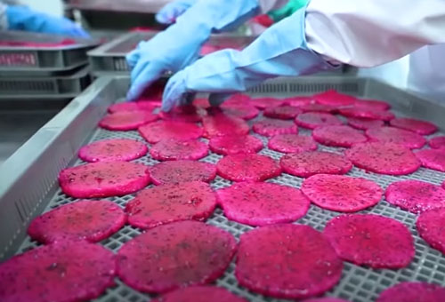 'Mong manh' chế biến nông sản